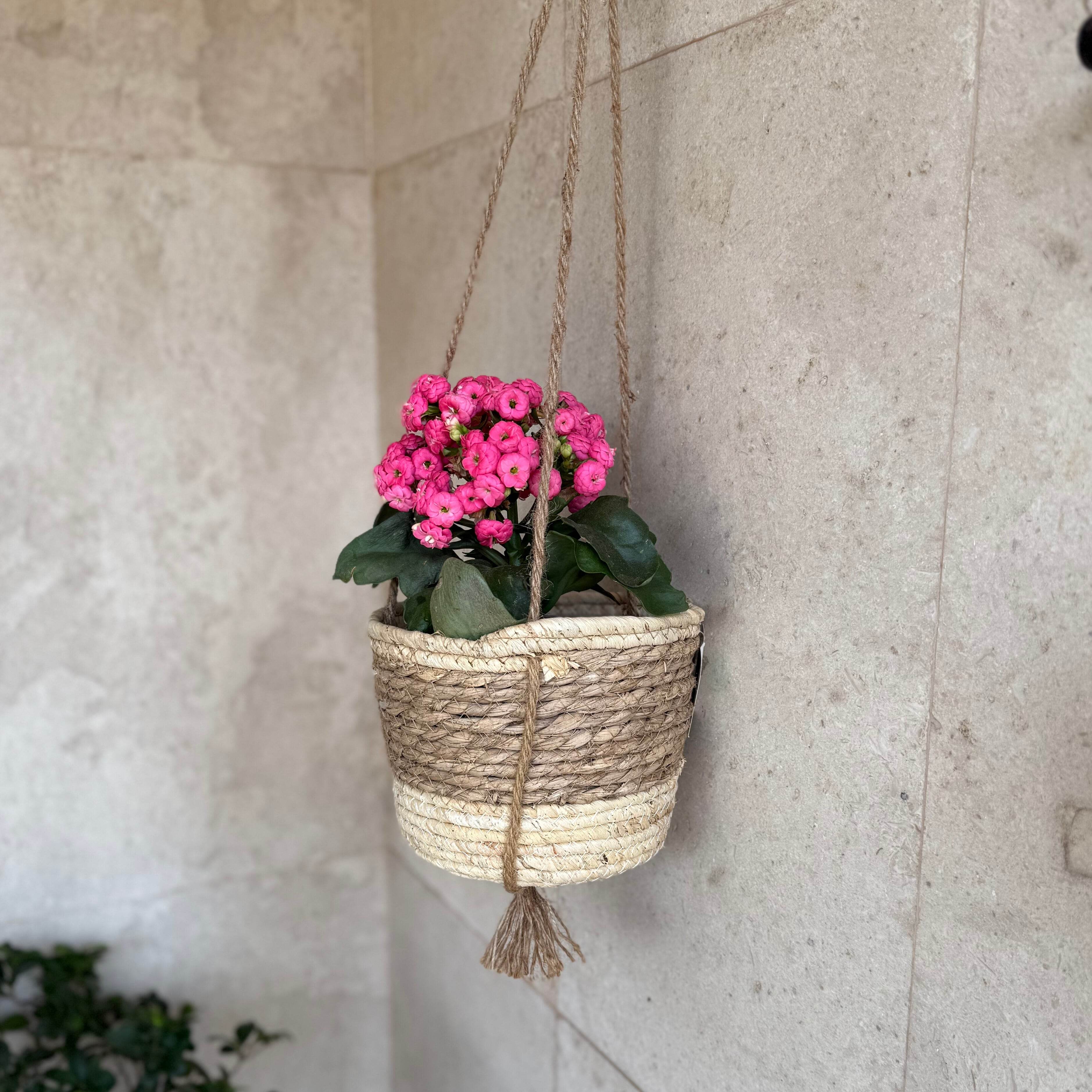 Hanging Woven Basket - Urban Home