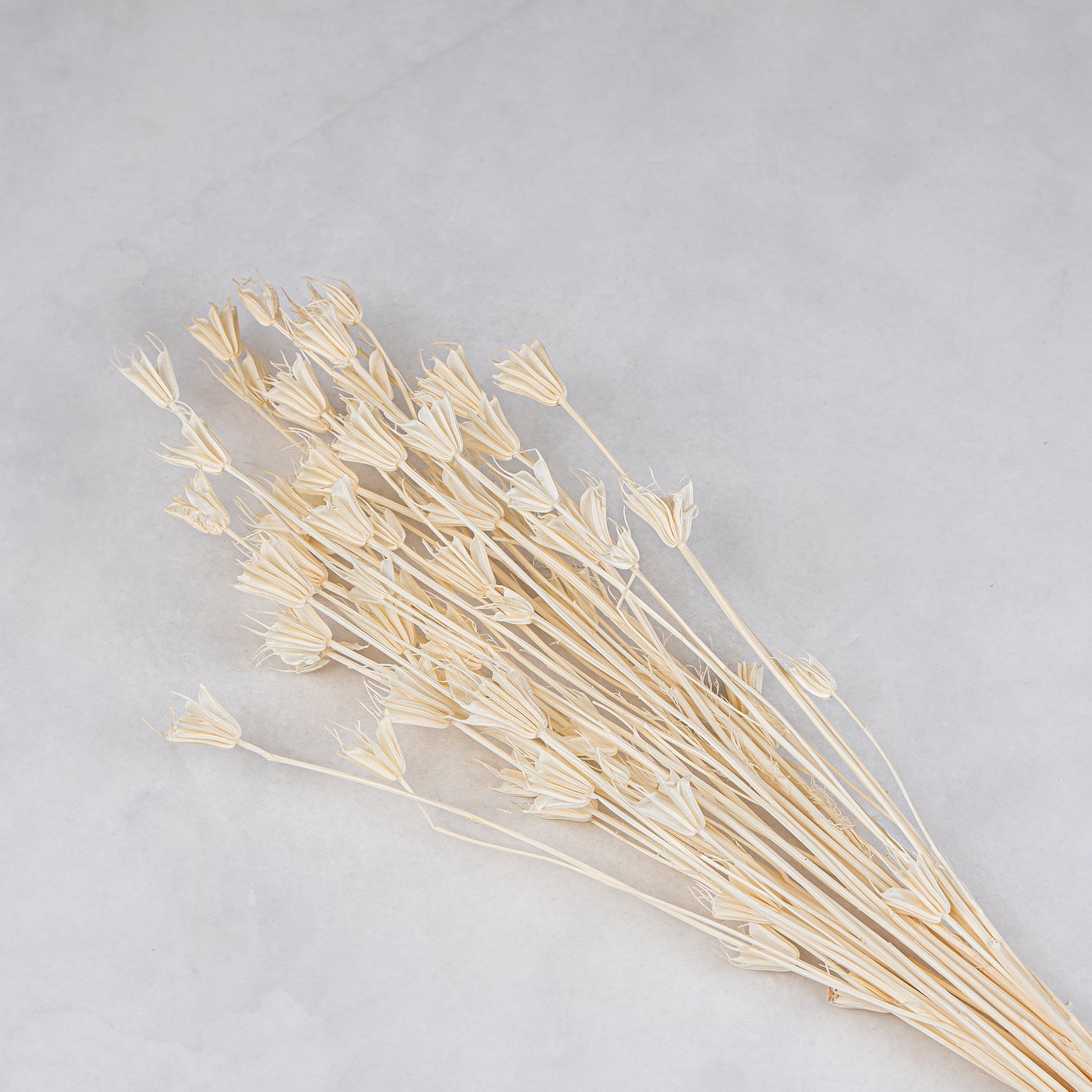 Natural Dried Bouquet