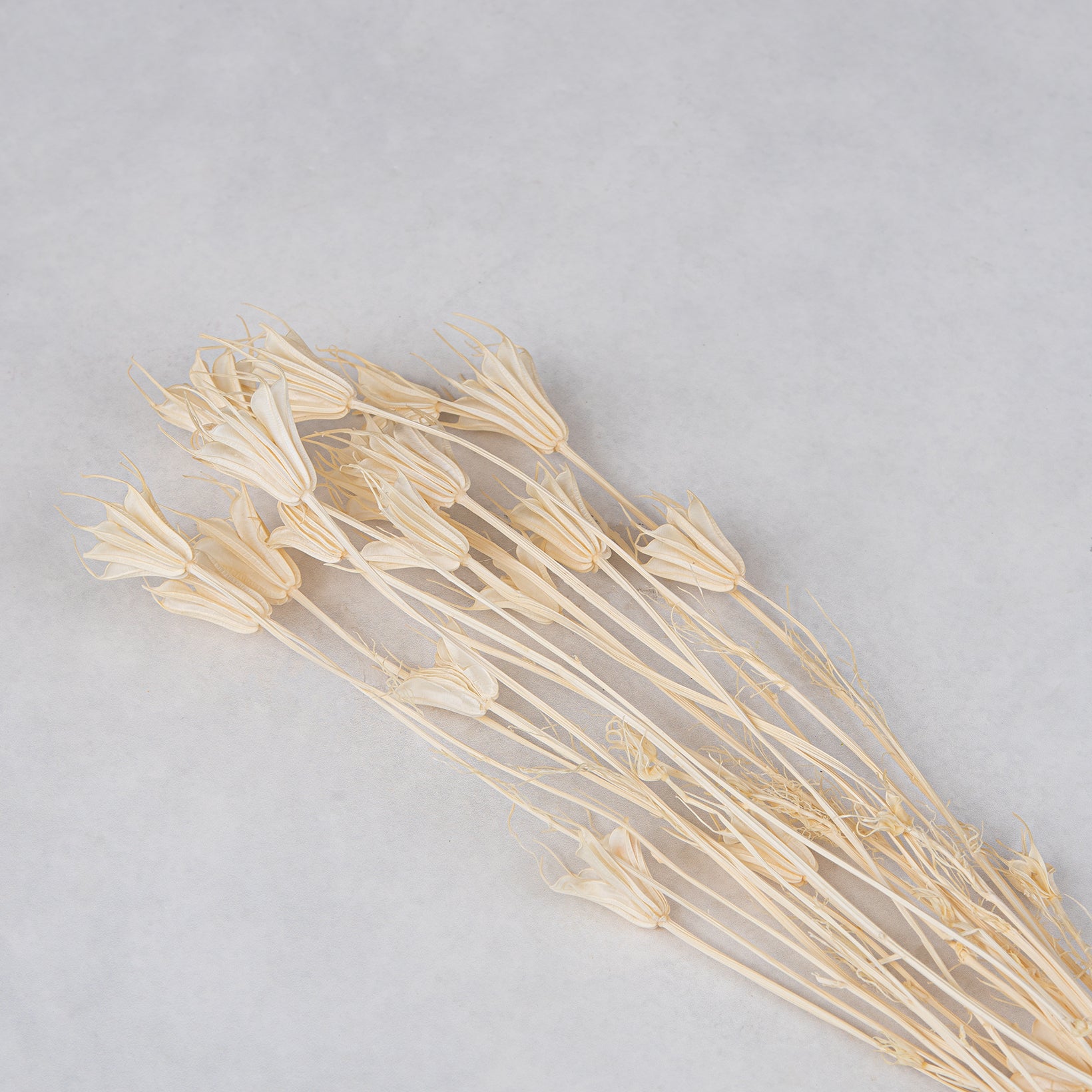 Natural Dried Bouquet