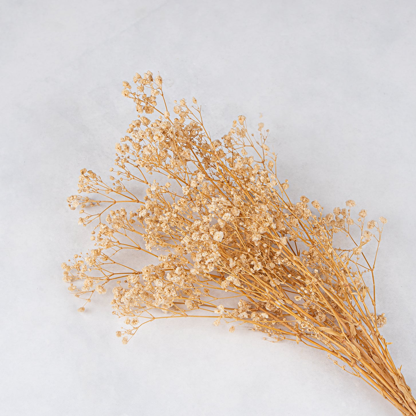 Natural Dried Bouquet