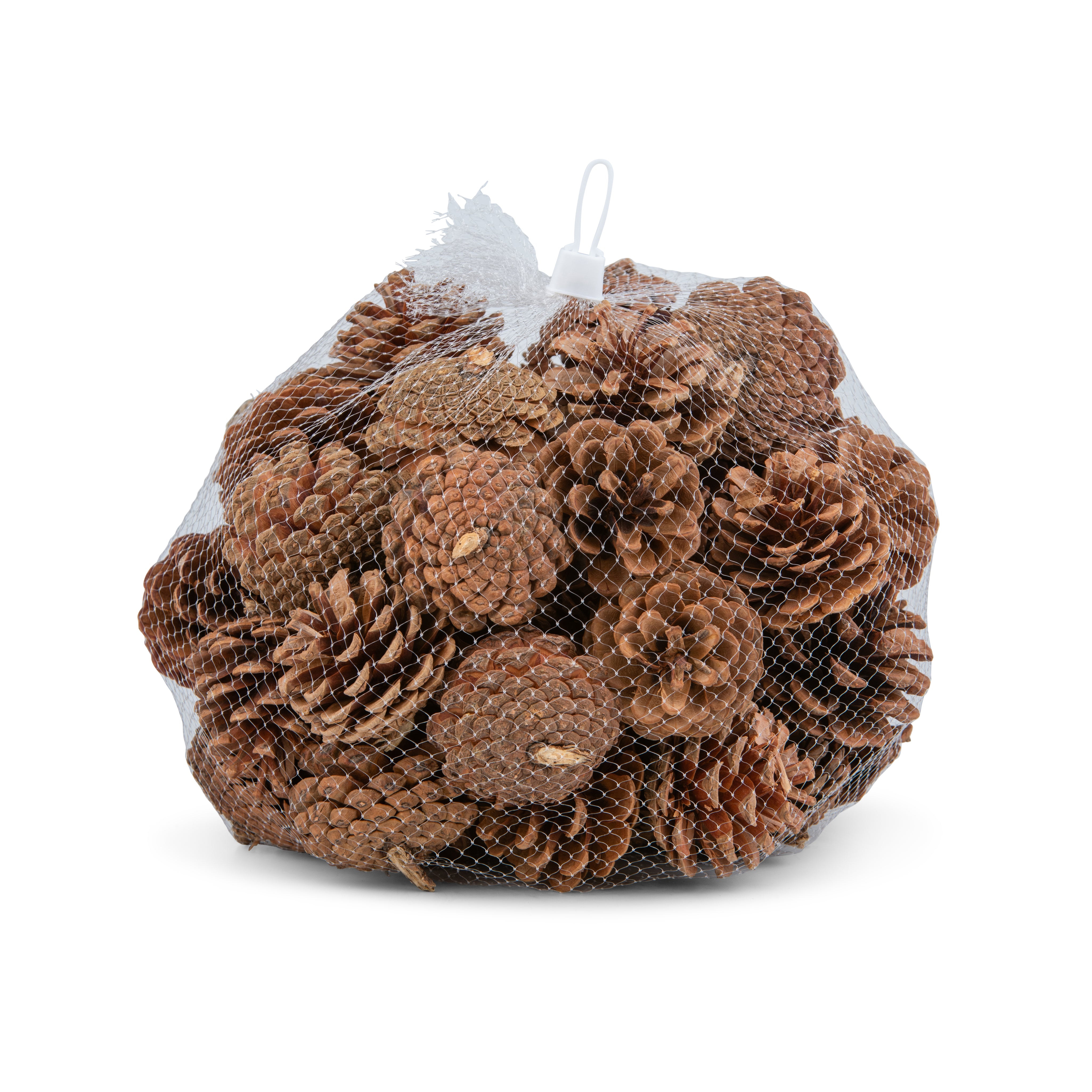 Pine Cone Mega Bag