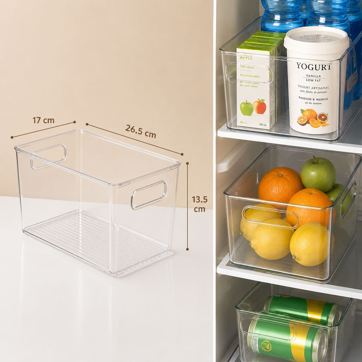 Plexi organizer with handles