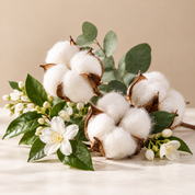 Serene Cotton Reed Diffuser