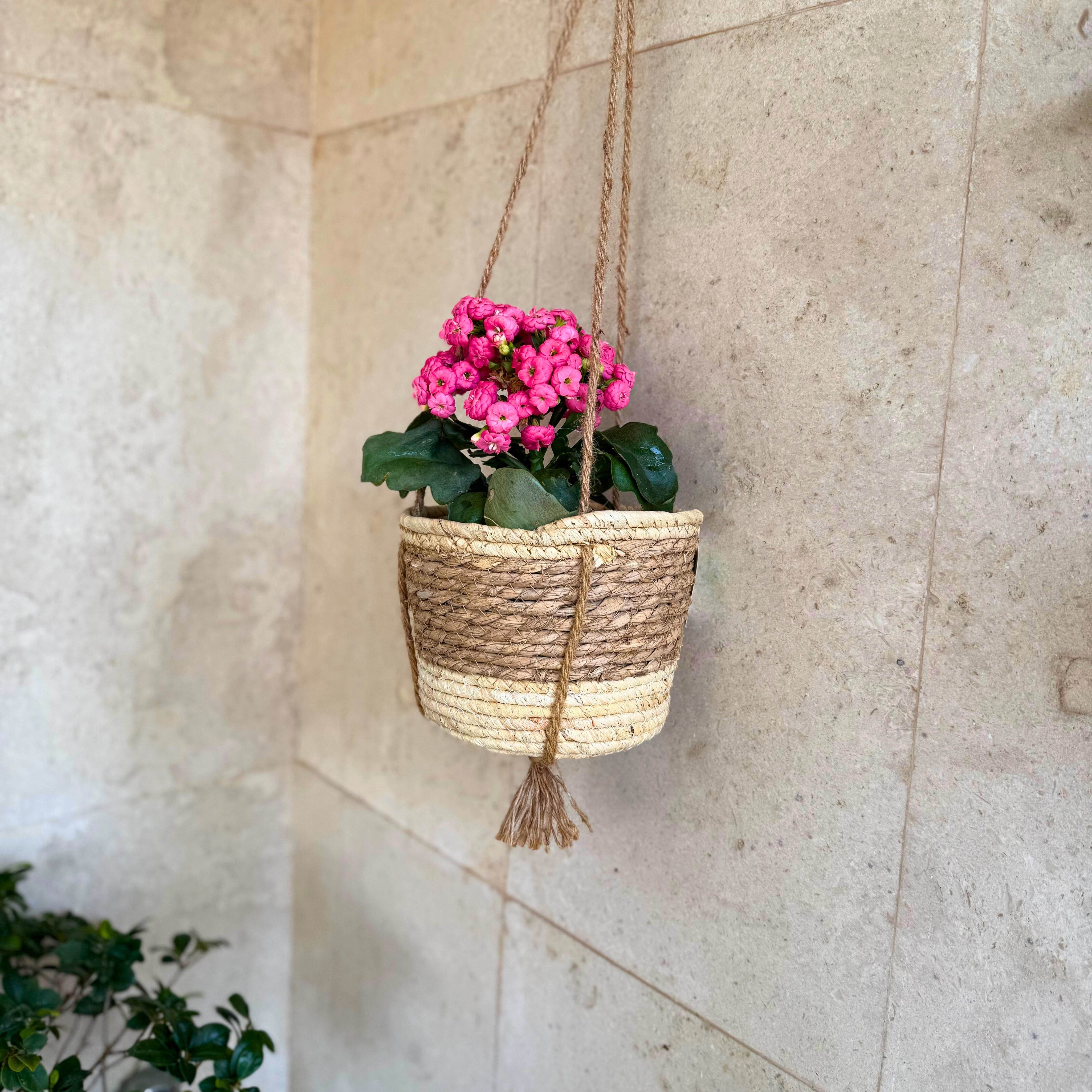 Hanging Woven Basket - Urban Home