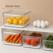 Fridge Organizer with Strainer & Cover