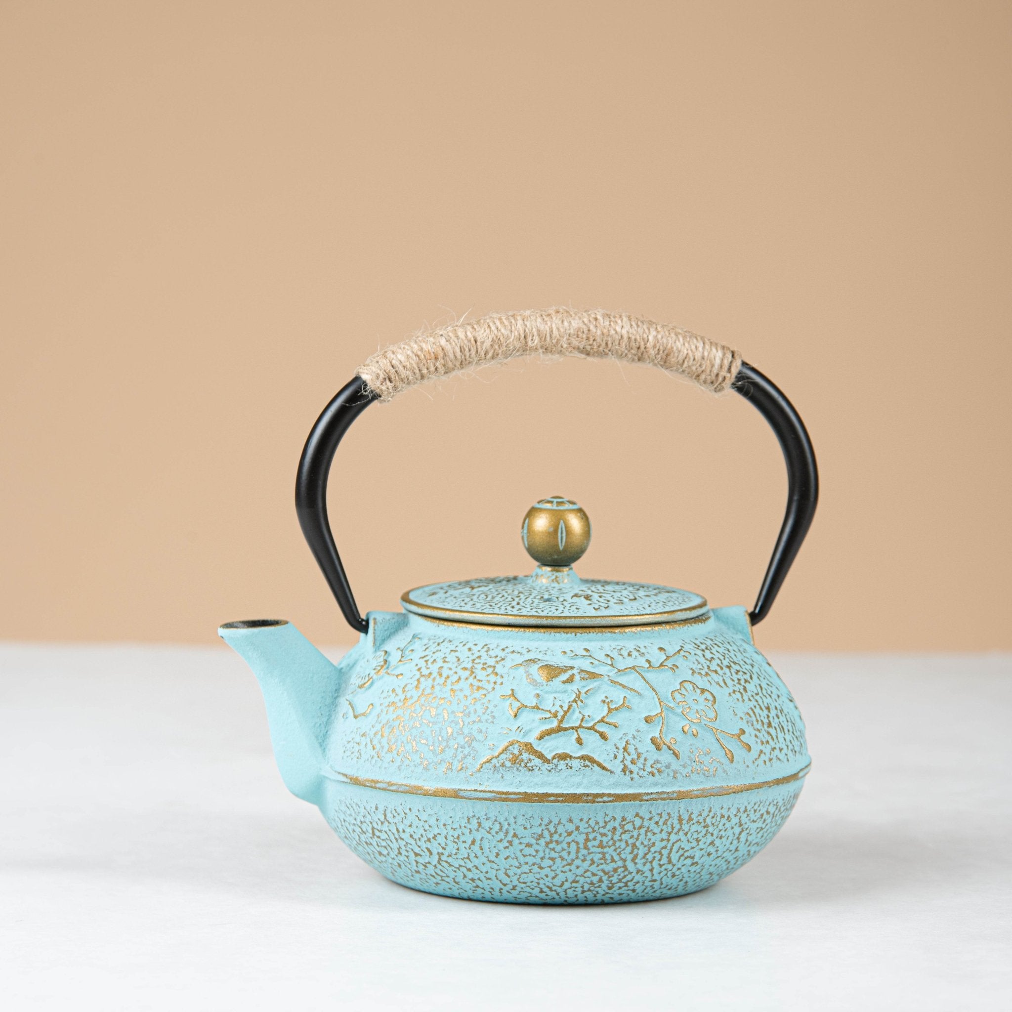 Japanese iron - cast tea pot - Urban Home