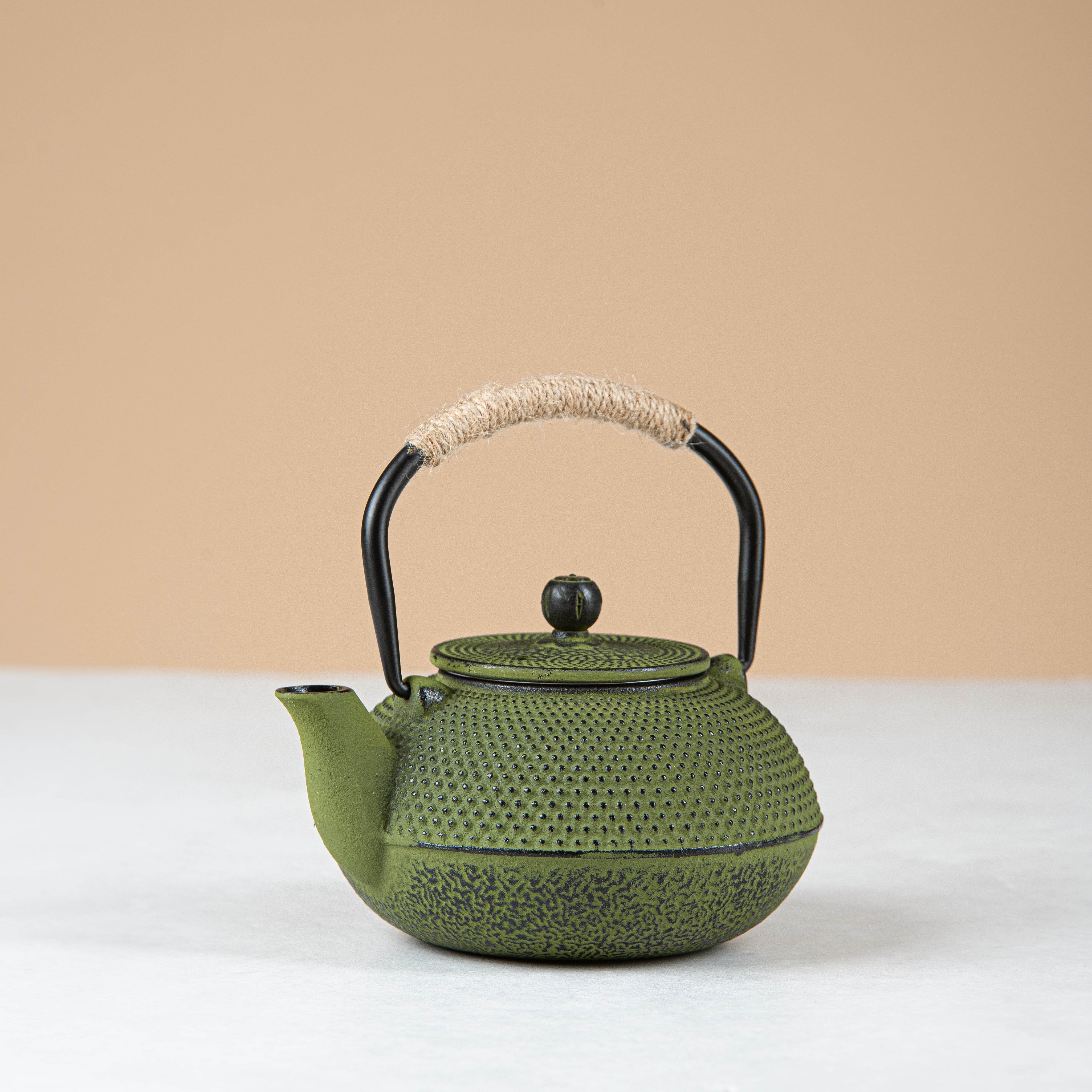 Japanese iron-cast tea pot - Urban Home