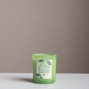 Lime & Bergamot Fragrance Collection - Urban Home