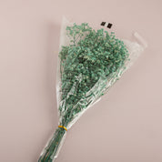 "Love Rules" Dried Baby’s Breath Bouquet - Urban Home