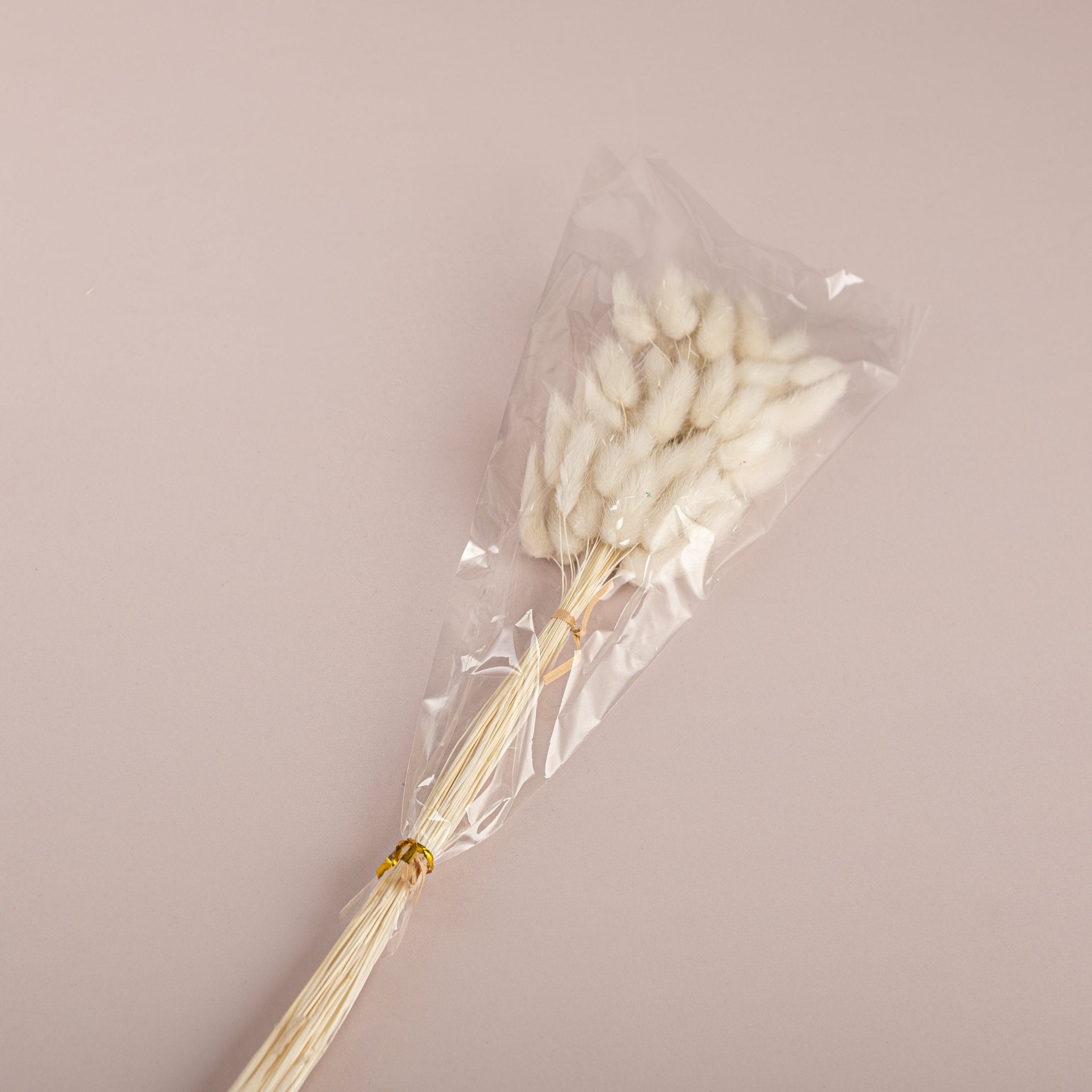 Everlasting Dried Bunny Tail Bouquet - Urban Home