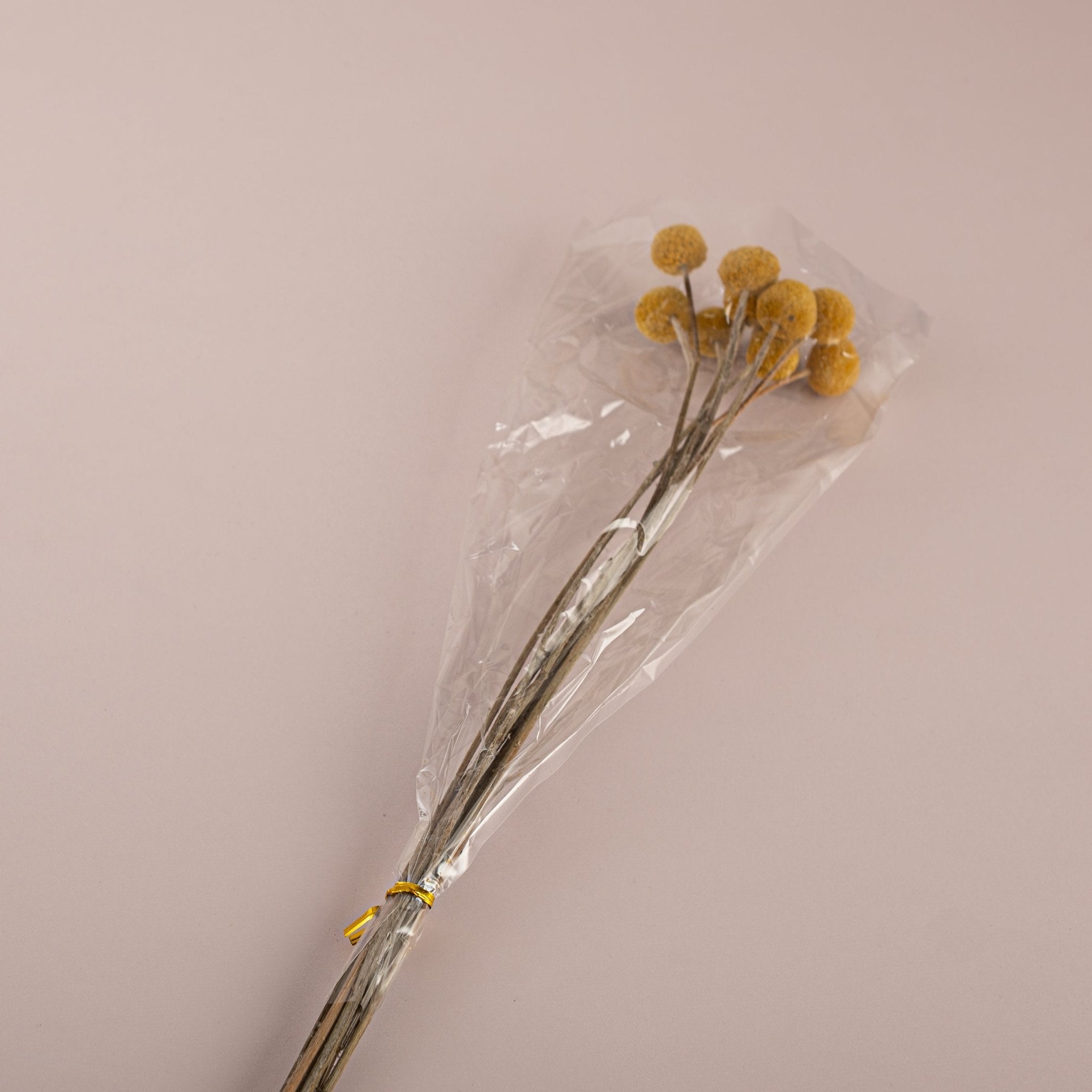 Dried Craspedia Billy Buttons Bouquet - Urban Home