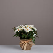 Artificial flower bouquet - Urban Home