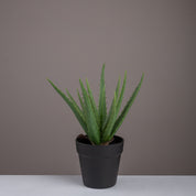 Artificial aloe vera plant - Urban Home