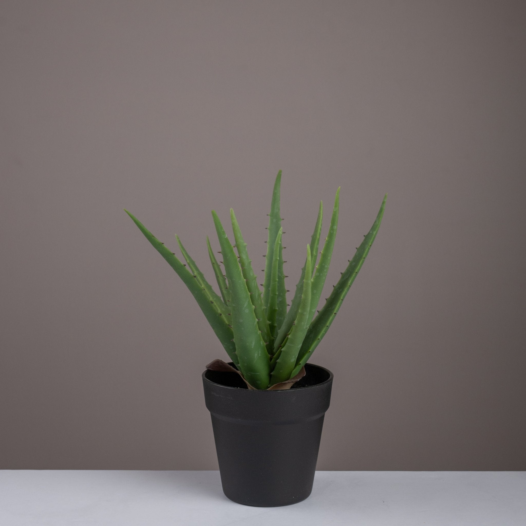 Artificial aloe vera plant - Urban Home