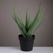 Artificial aloe vera plant - Urban Home