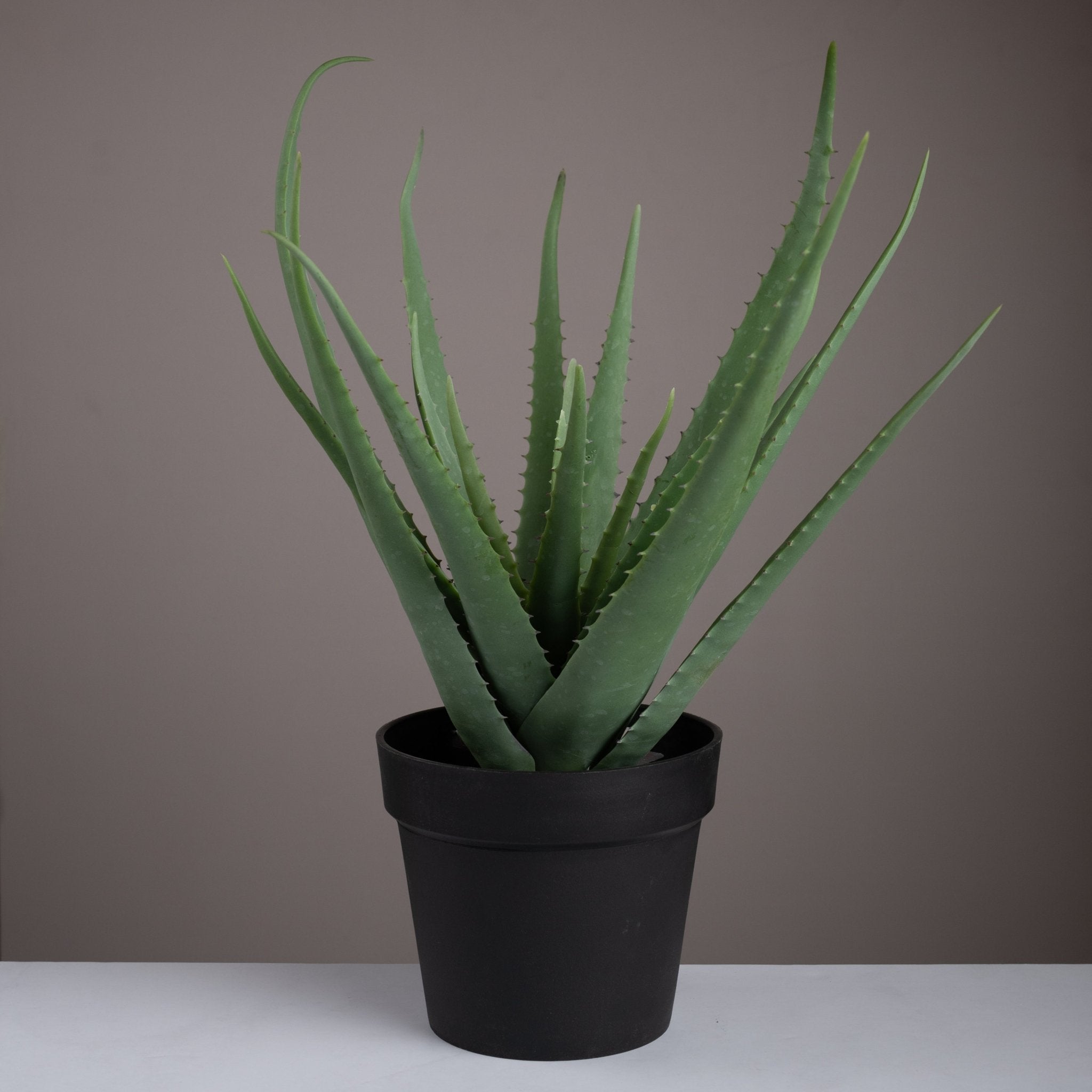 Artificial aloe vera plant - Urban Home