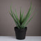 Artificial aloe vera plant - Urban Home