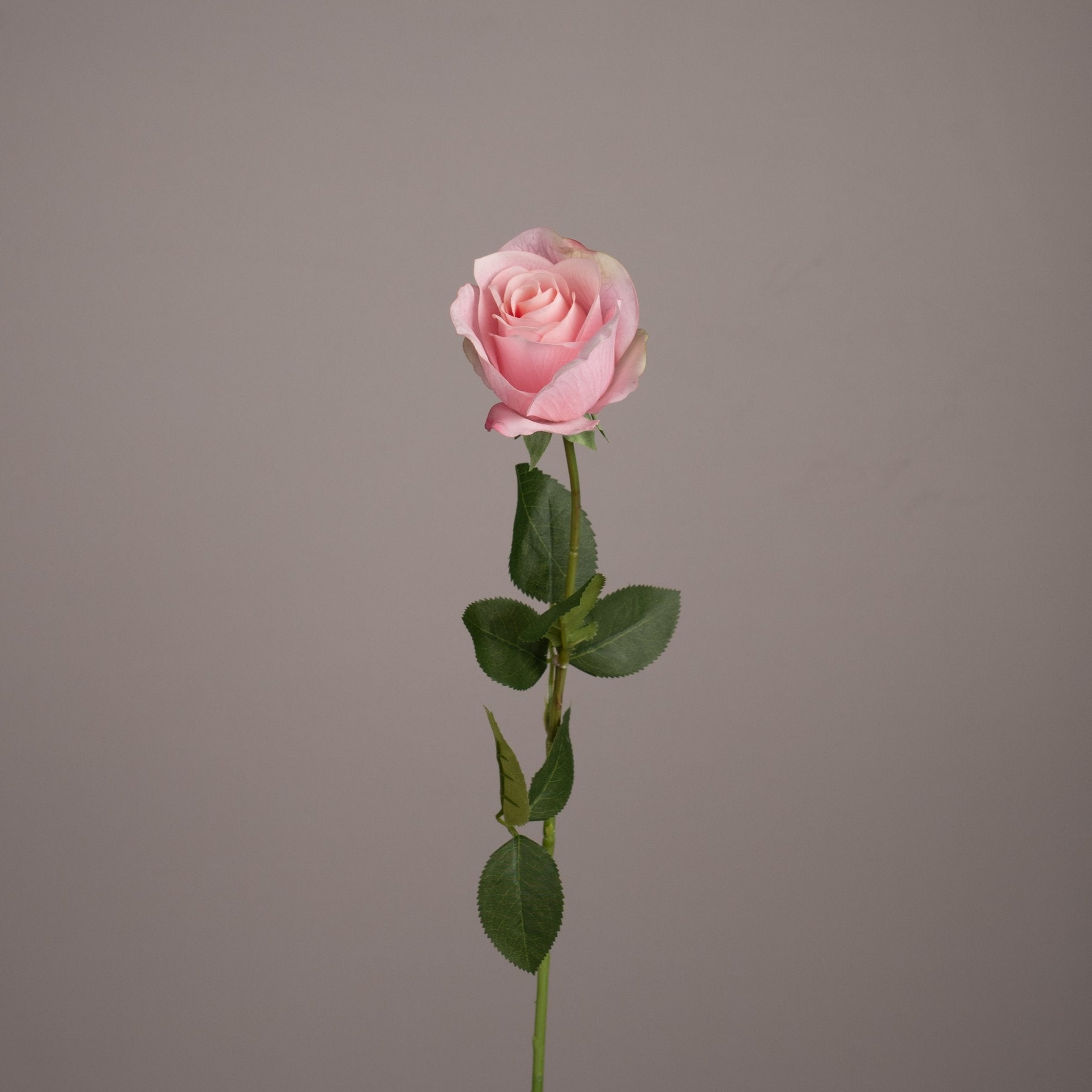Colorful Artificial Flower - Urban Home
