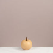 Apple Decorative Accent - Urban Home