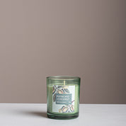 Pistachio & Coconut fragrance collection - Urban Home