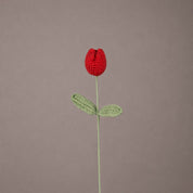 Knitted Eternal Bloom — Vibrant Peach - Urban Home