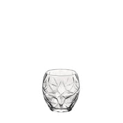 Bormioli Rocco Oriente Water Glasses - Set of 6 | 400ml - Urban Home