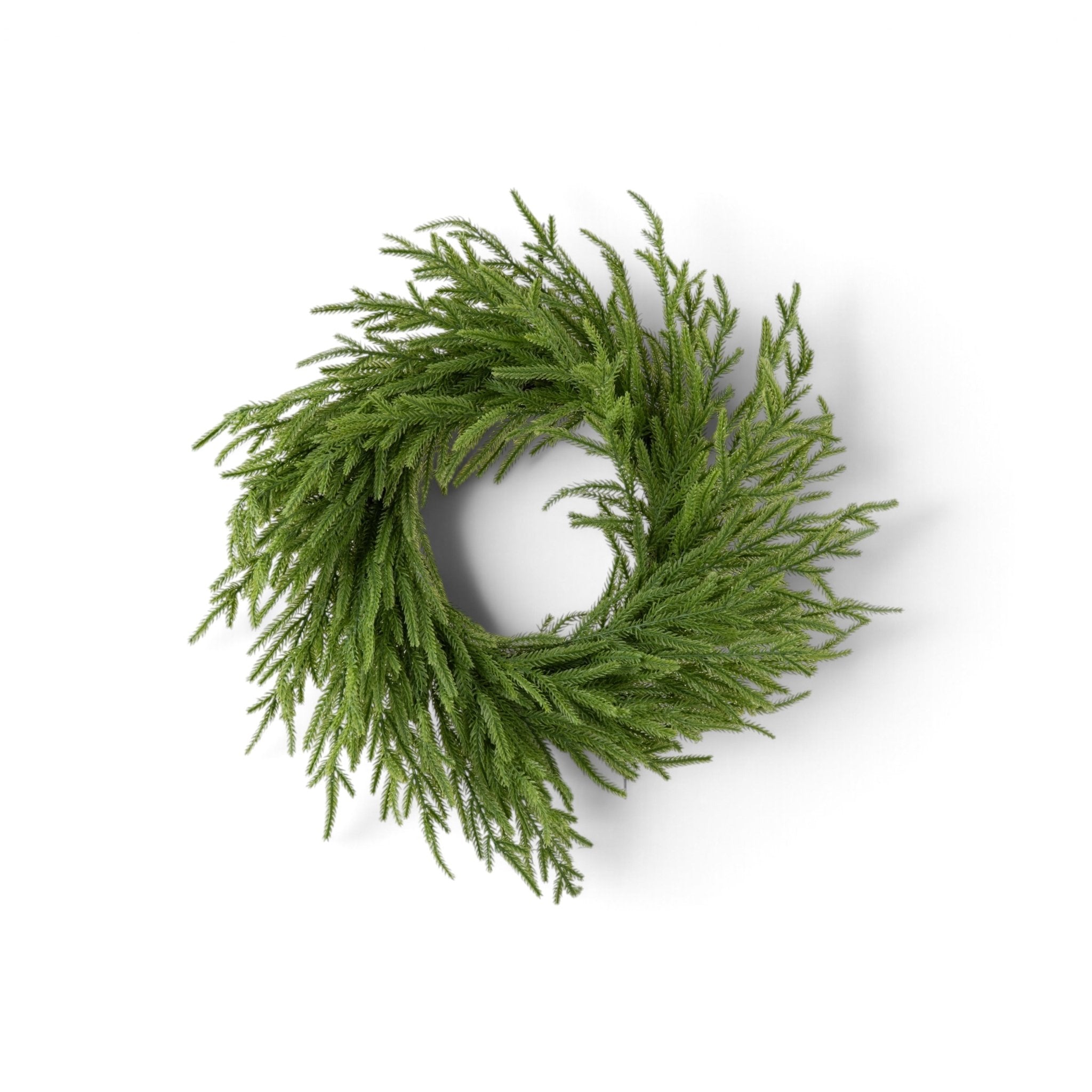 Norfolk Pine Wreath - Urban Home