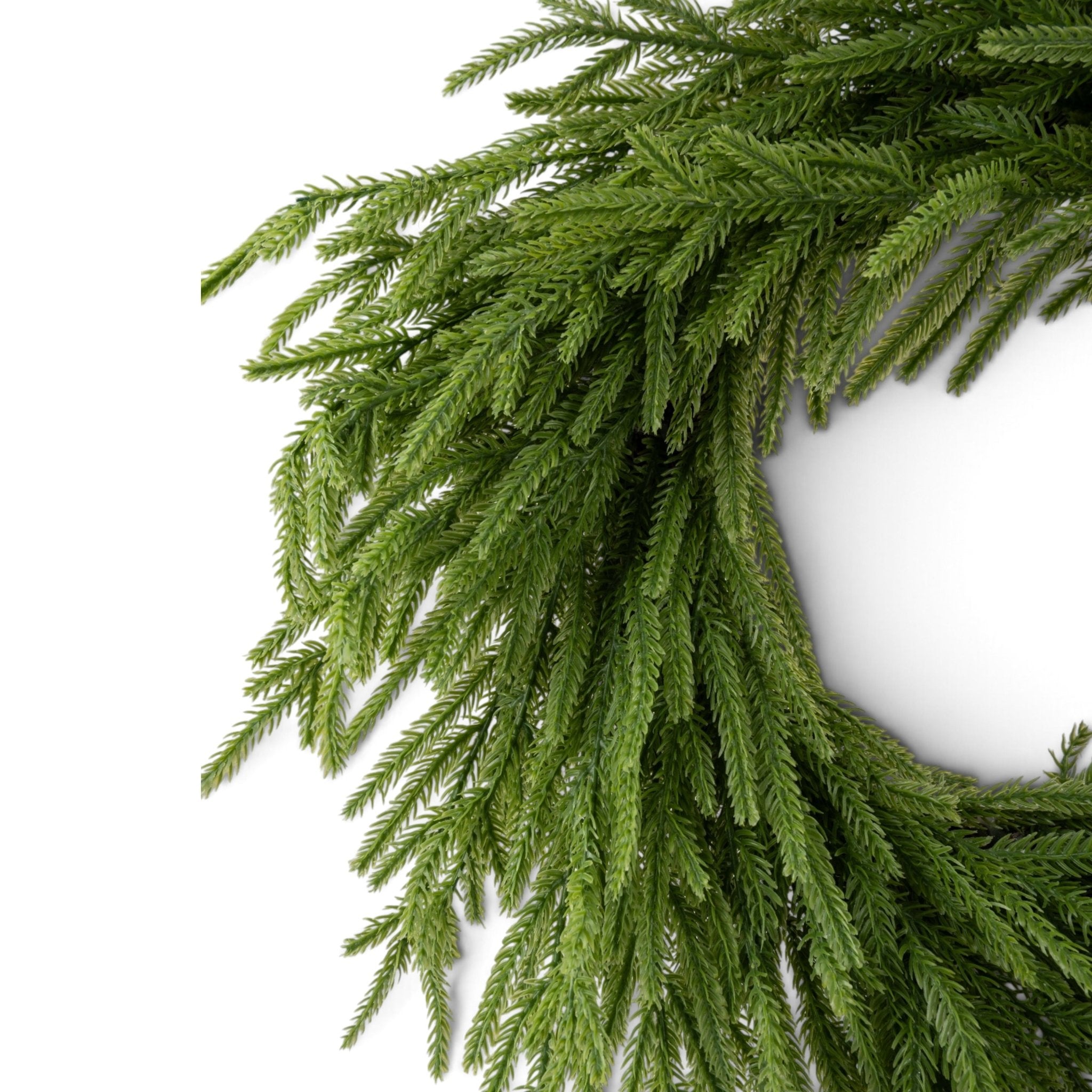 Norfolk Pine Wreath - Urban Home